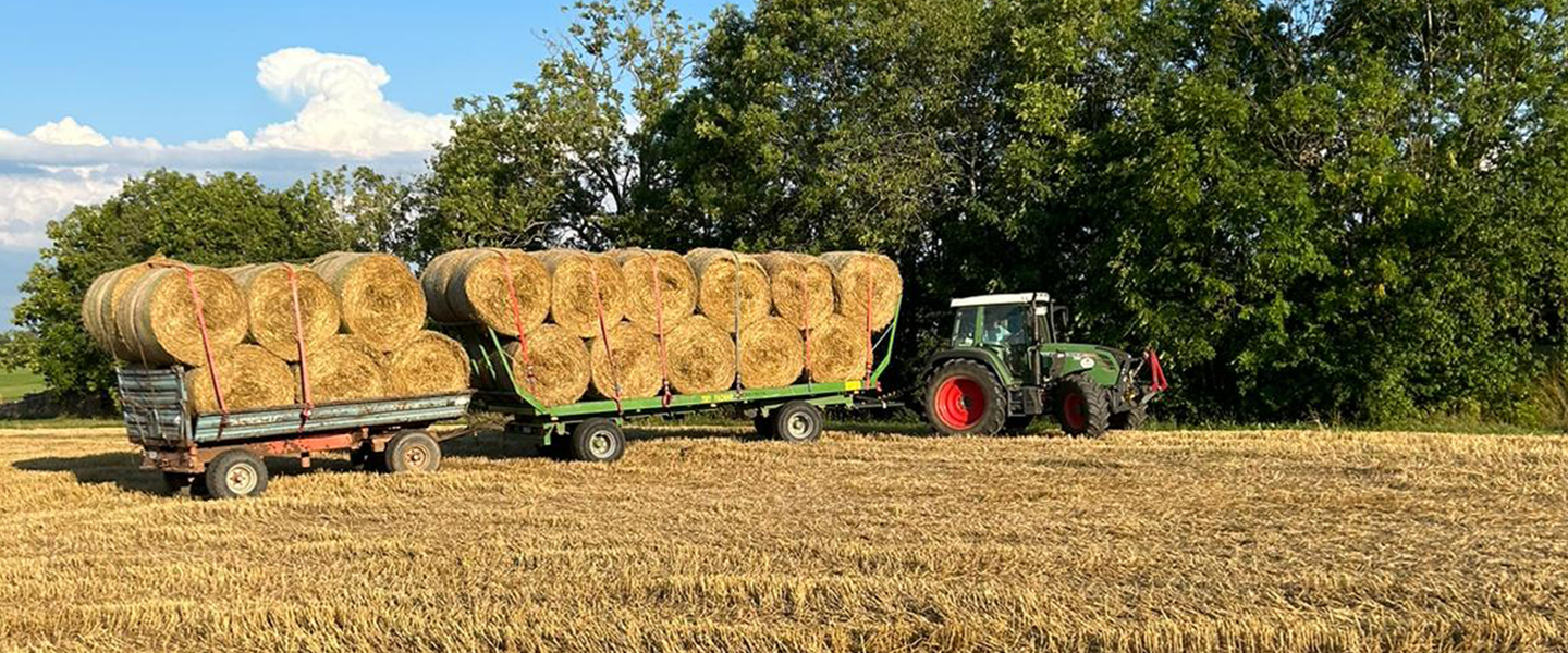 Heuballen pressen Lohnunternehmen Vorderer Schlauchbauernhof Heuballen sammeln und abfahren, Lohnunternehmen