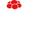 Logo: Vorderer Schlauchbauer Gutach Logo